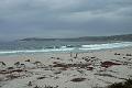 Carmel 10-30-08 243
